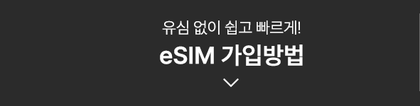 유심 없이 쉽고 빠르게! eSIM 가입방법