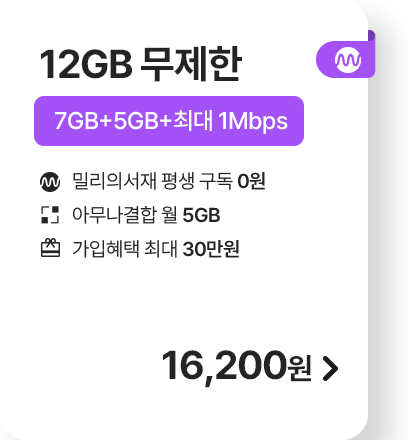 12GB 무제한